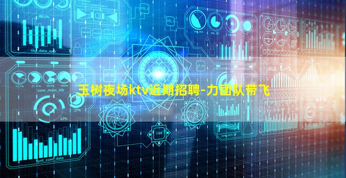 玉树夜场ktv近期招聘-力团队带飞